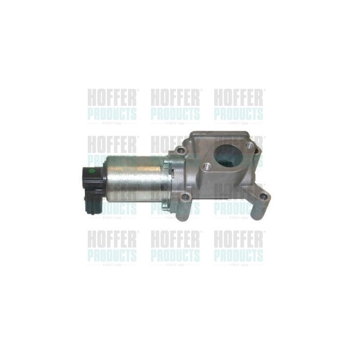 ERG vožtuvas HOFFER 7518006