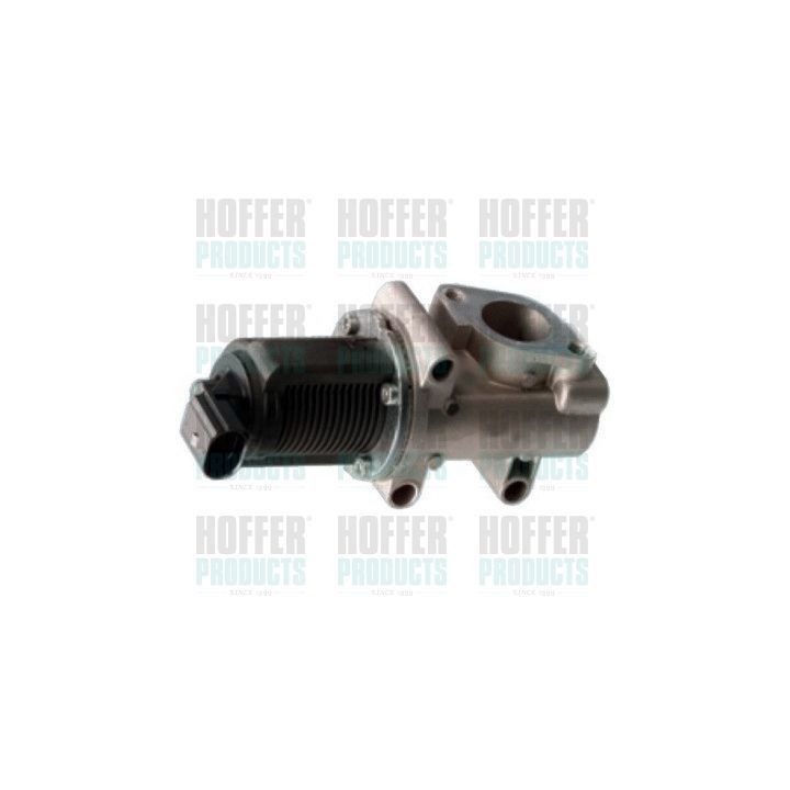 ERG vožtuvas HOFFER 7518016