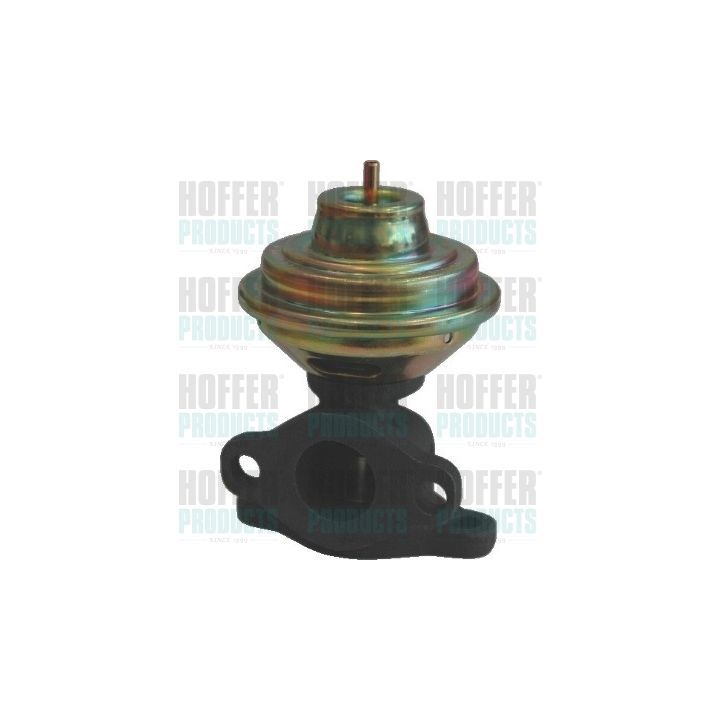 ERG vožtuvas HOFFER 7518038