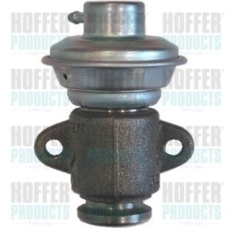 ERG vožtuvas HOFFER 7518073