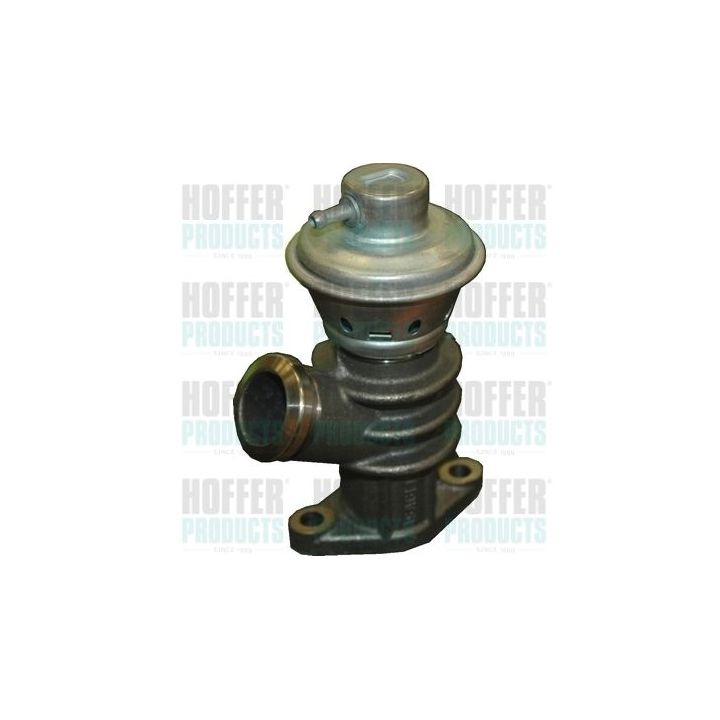 ERG vožtuvas HOFFER 7518078