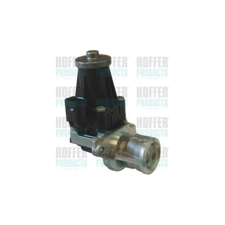 ERG vožtuvas HOFFER 7518124