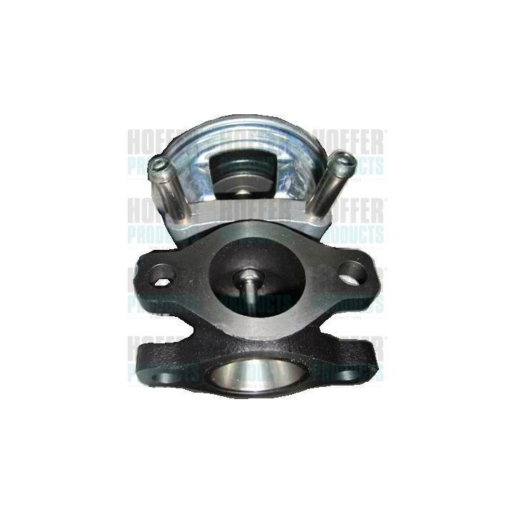 ERG vožtuvas HOFFER 7518149