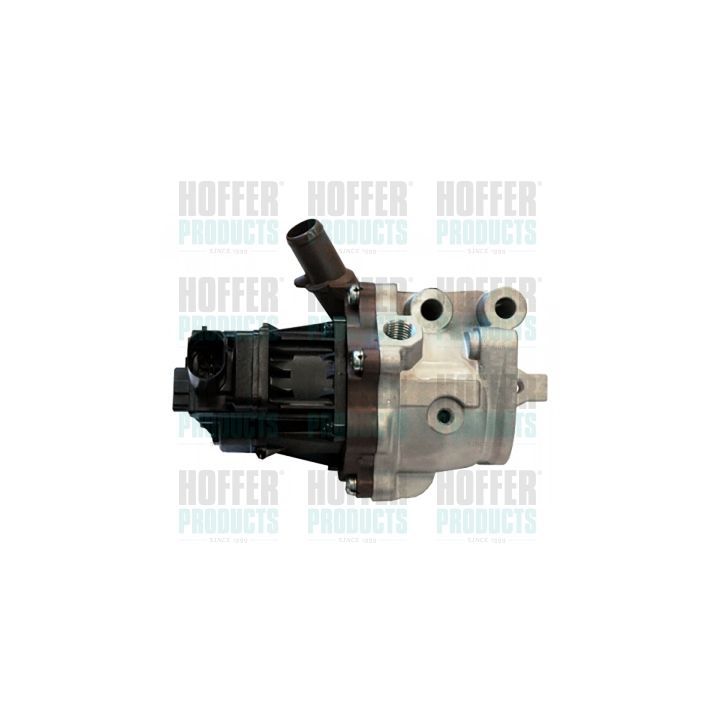 ERG vožtuvas HOFFER 7518188