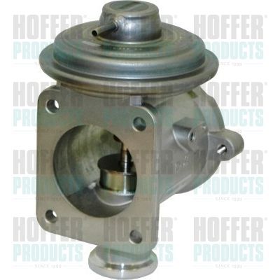 ERG vožtuvas HOFFER 7518196