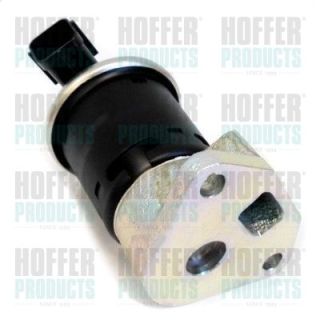 ERG vožtuvas HOFFER 7518264