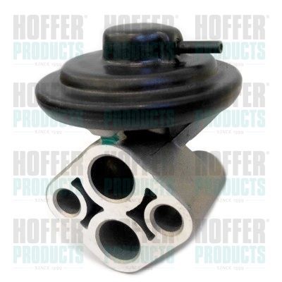 ERG vožtuvas HOFFER 7518283