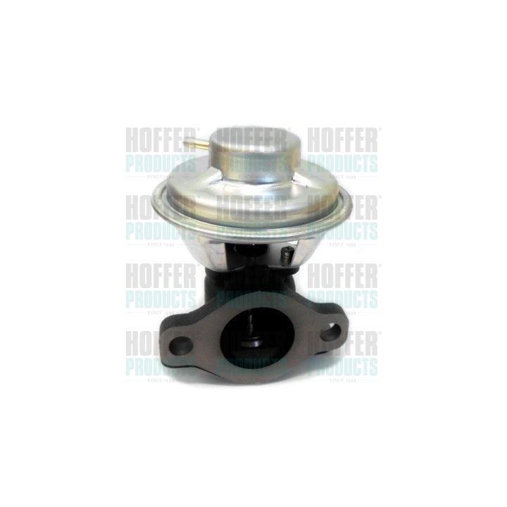 ERG vožtuvas HOFFER 7518287