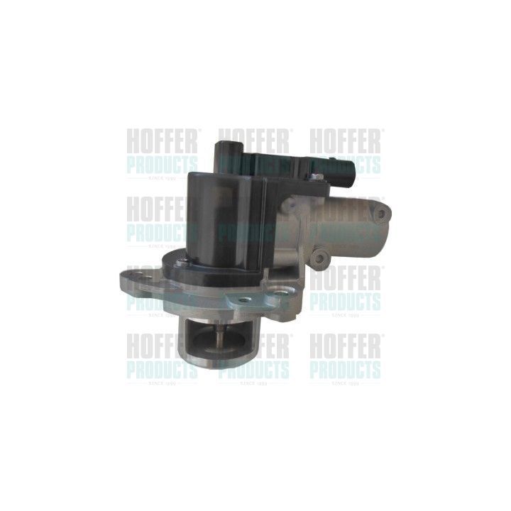 ERG vožtuvas HOFFER 7518411