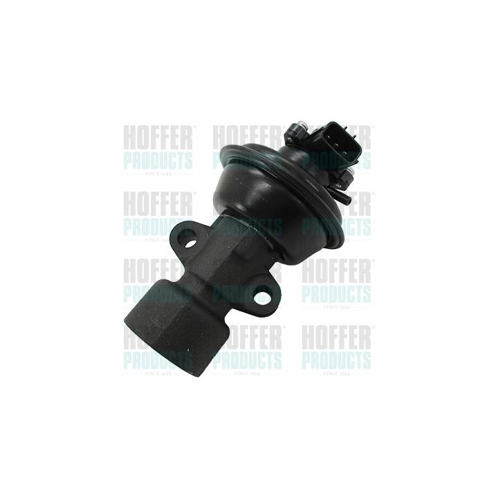 ERG vožtuvas HOFFER 7518474