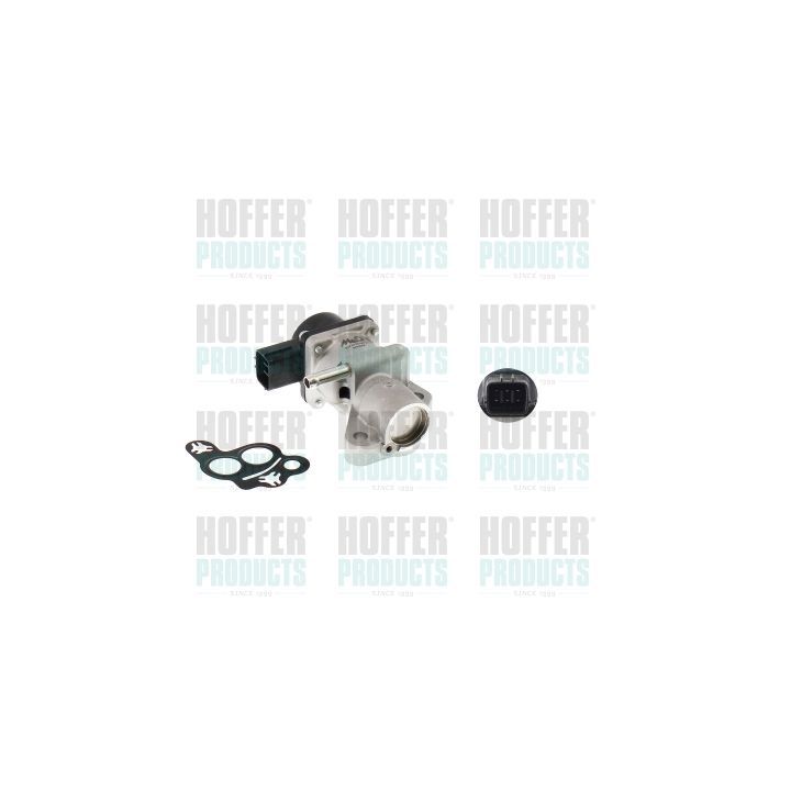 ERG vožtuvas HOFFER 7518701