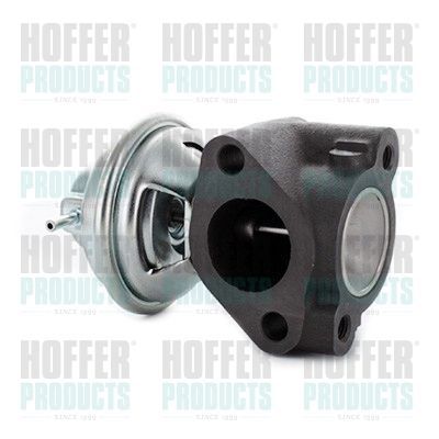 ERG vožtuvas HOFFER 7518738
