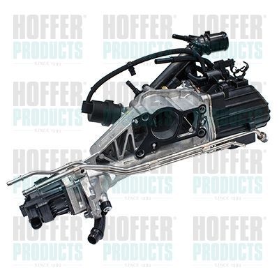 ERG vožtuvas HOFFER 7518813