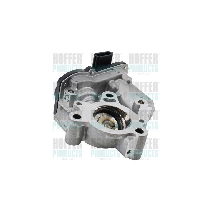 ERG vožtuvas HOFFER 7518849