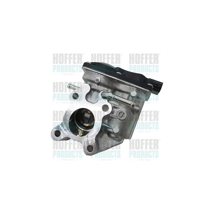 ERG vožtuvas HOFFER 7518850