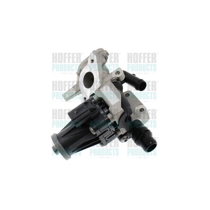 ERG vožtuvas HOFFER 7518871
