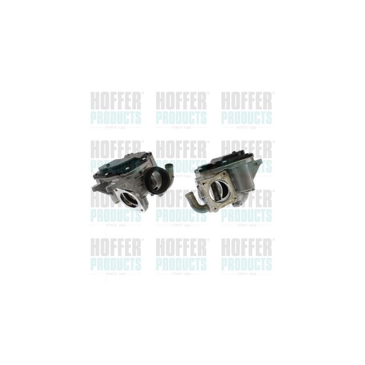 ERG vožtuvas HOFFER 7518948