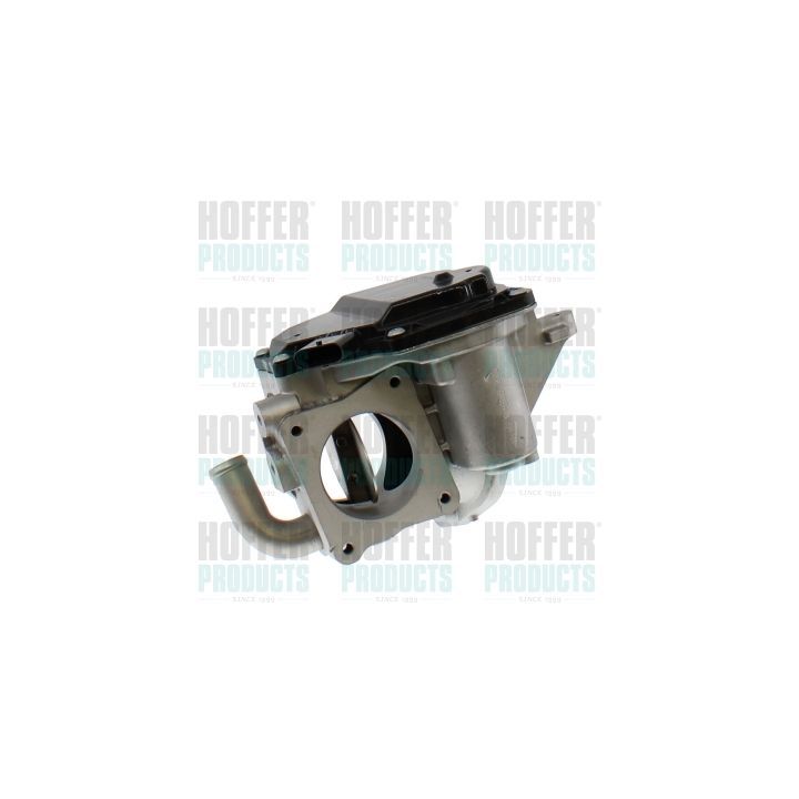 ERG vožtuvas HOFFER 7518948R