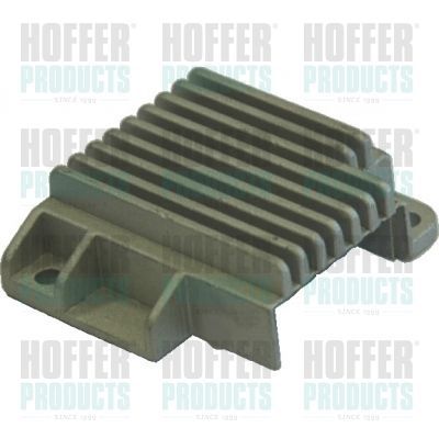 Uždegimo jungiklis HOFFER 10000