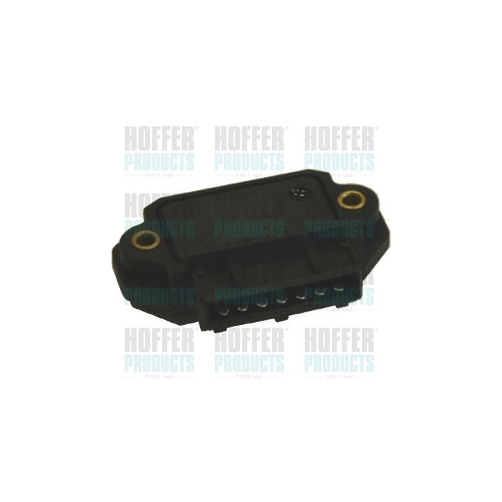 Uždegimo jungiklis HOFFER 10062