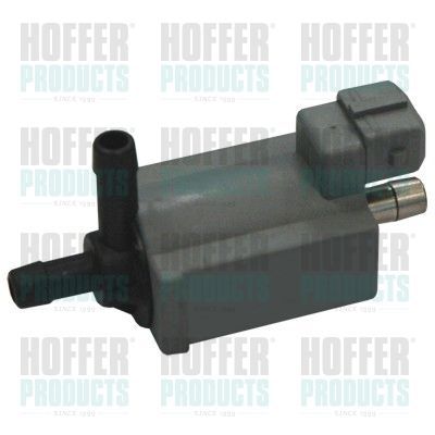 Vožtuvas, oro valdymas (įsiurbiamas oras) HOFFER 8029098