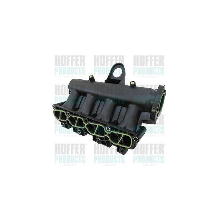 įsiurbimo kolektoriaus modulis HOFFER 7519426