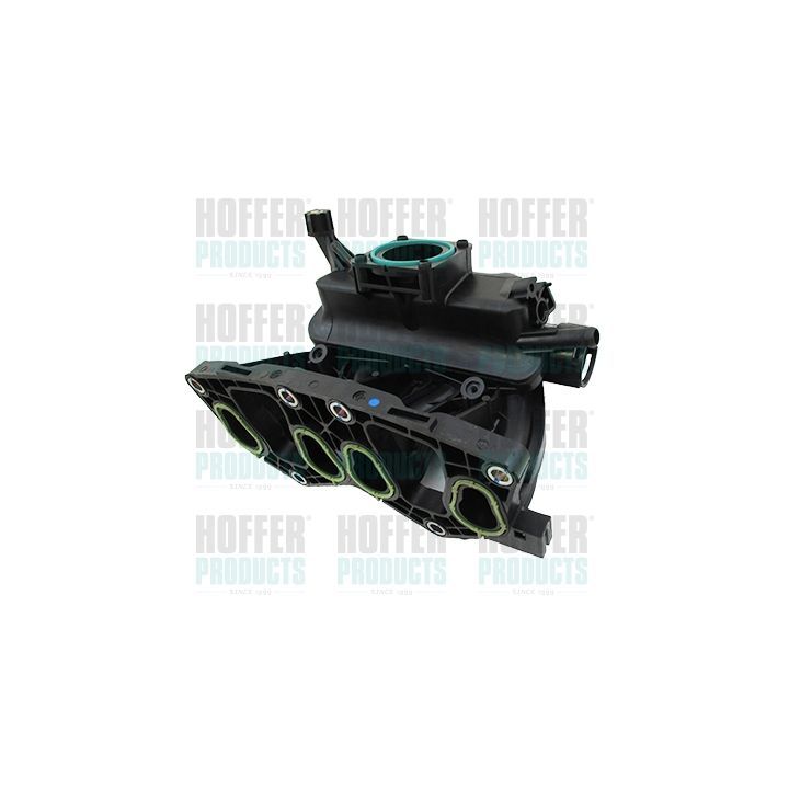 įsiurbimo kolektoriaus modulis HOFFER 7519433