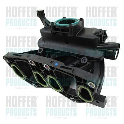 įsiurbimo kolektoriaus modulis HOFFER 7519433