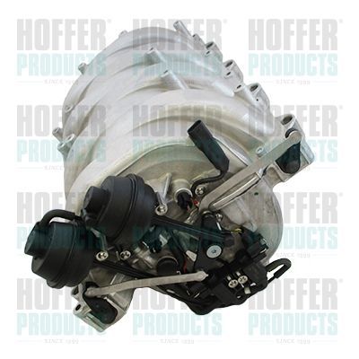 įsiurbimo kolektoriaus modulis HOFFER 7519448