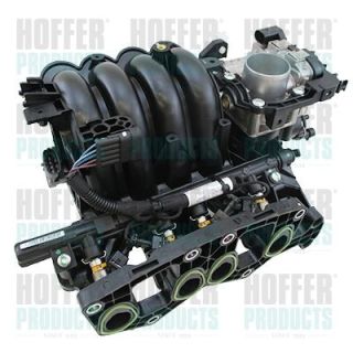 įsiurbimo kolektoriaus modulis HOFFER 7519517