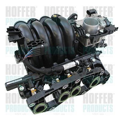 įsiurbimo kolektoriaus modulis HOFFER 7519517