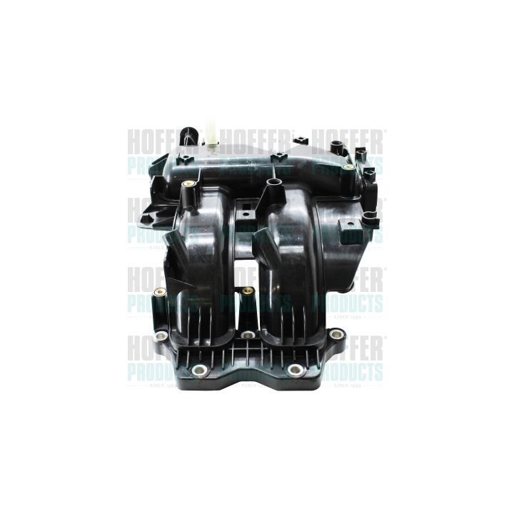 įsiurbimo kolektoriaus modulis HOFFER 7519528