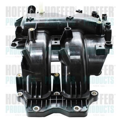 įsiurbimo kolektoriaus modulis HOFFER 7519528