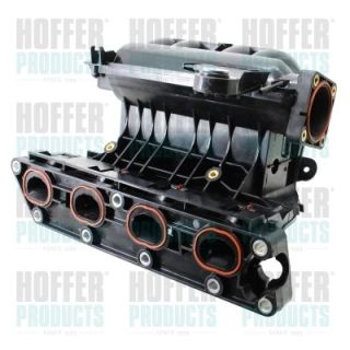 įsiurbimo kolektoriaus modulis HOFFER 7519536