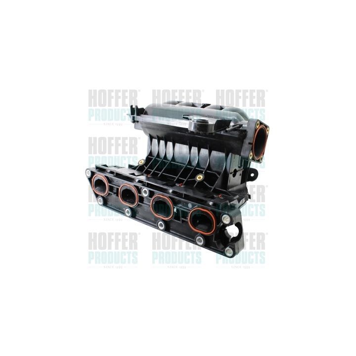 įsiurbimo kolektoriaus modulis HOFFER 7519536