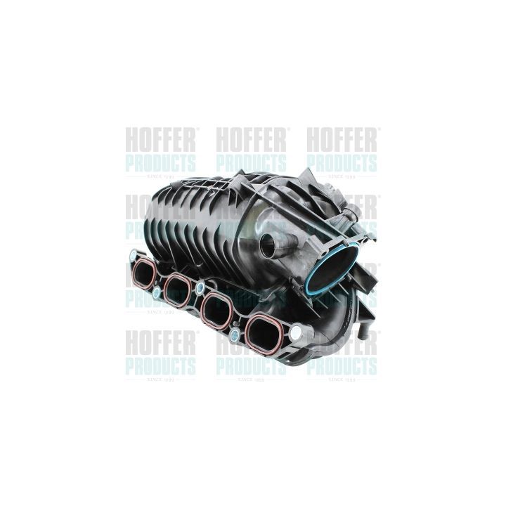 įsiurbimo kolektoriaus modulis HOFFER 7519551