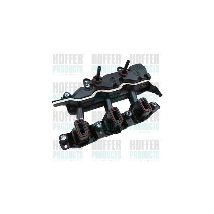 įsiurbimo kolektoriaus modulis HOFFER 7519552