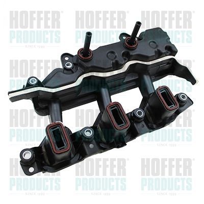 įsiurbimo kolektoriaus modulis HOFFER 7519552