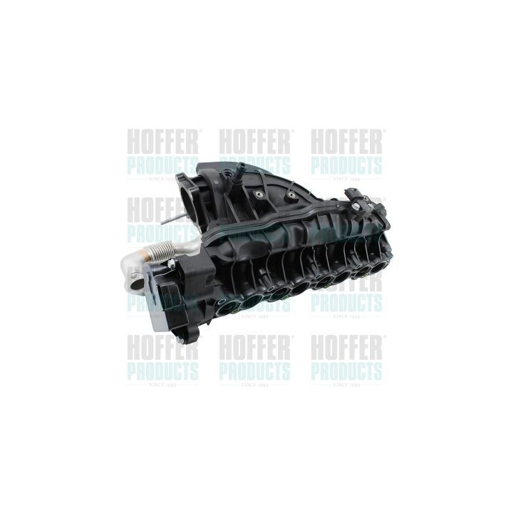 įsiurbimo kolektoriaus modulis HOFFER 7519587