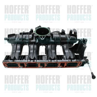 įsiurbimo kolektoriaus modulis HOFFER 7519613