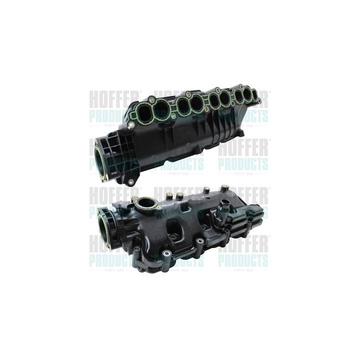 įsiurbimo kolektoriaus modulis HOFFER 7519688