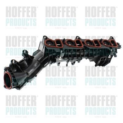 įsiurbimo kolektoriaus modulis HOFFER 7519713