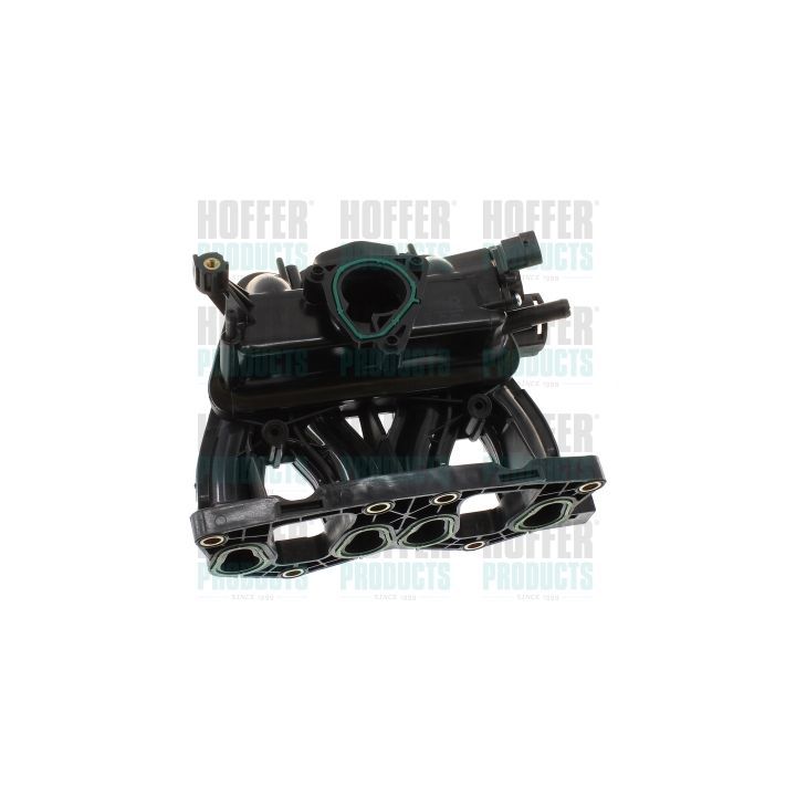įsiurbimo kolektoriaus modulis HOFFER 7519785