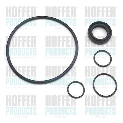 Tarpiklių rinkinys, hidraulinis siurblys HOFFER 37010