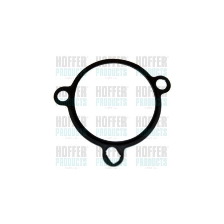 Tarpiklis, EGR vožtuvas HOFFER 01604