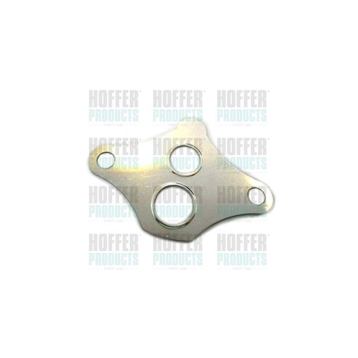 Tarpiklis, EGR vožtuvas HOFFER 01605