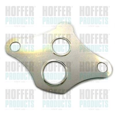 Tarpiklis, EGR vožtuvas HOFFER 01605