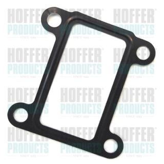 Tarpiklis, EGR vožtuvas HOFFER 01609