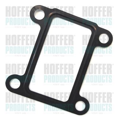 Tarpiklis, EGR vožtuvas HOFFER 01609