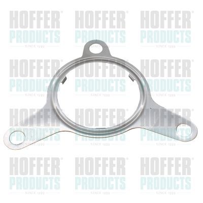 Tarpiklis, EGR vožtuvas HOFFER 016123